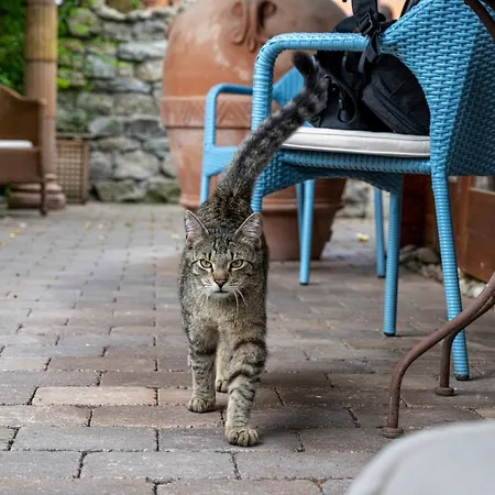 Hotel-restaurant Haus Nicklass