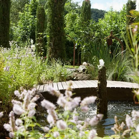 Hotel-restaurant Haus Nicklass فندق Ingelfingen