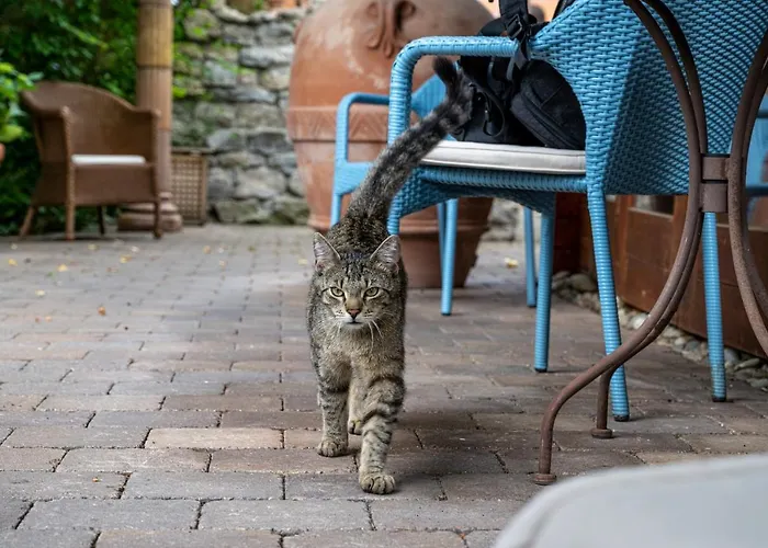 Hotel-restaurant Haus Nicklass